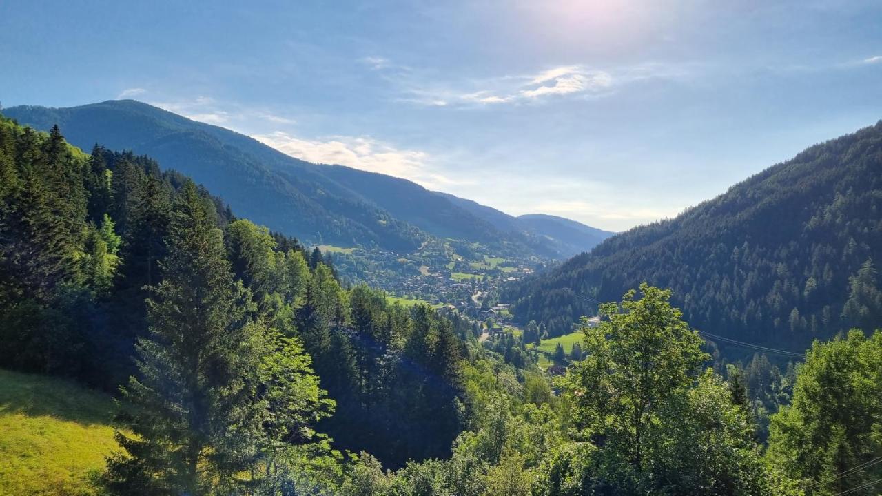 Ferienwohnungen Rabensteiner 巴德小基希海姆 外观 照片