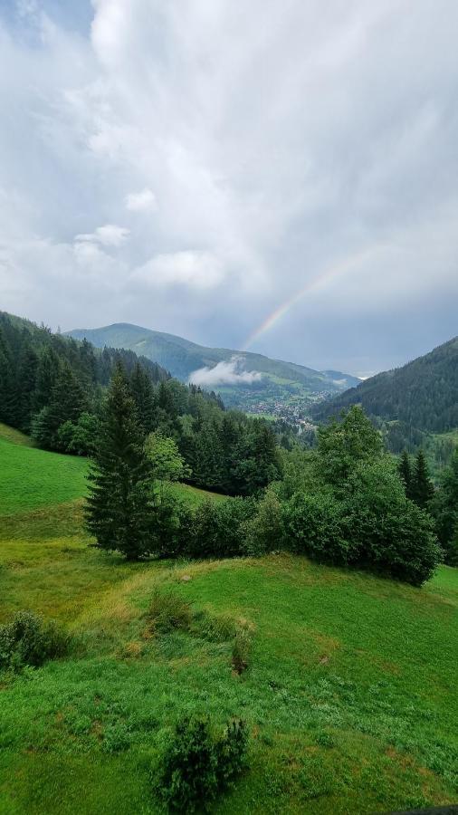 Ferienwohnungen Rabensteiner 巴德小基希海姆 外观 照片