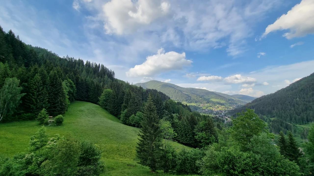 Ferienwohnungen Rabensteiner 巴德小基希海姆 外观 照片