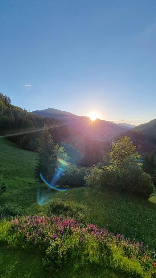 Ferienwohnungen Rabensteiner 巴德小基希海姆 外观 照片