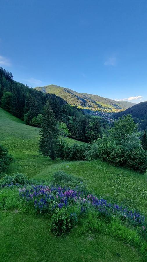 Ferienwohnungen Rabensteiner 巴德小基希海姆 外观 照片